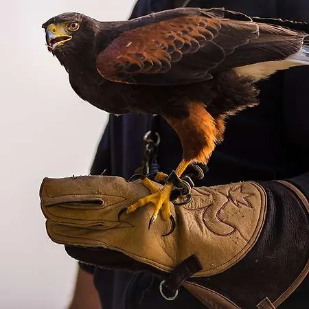 Szálloda Restaurant Saint James, The Originals Boutique